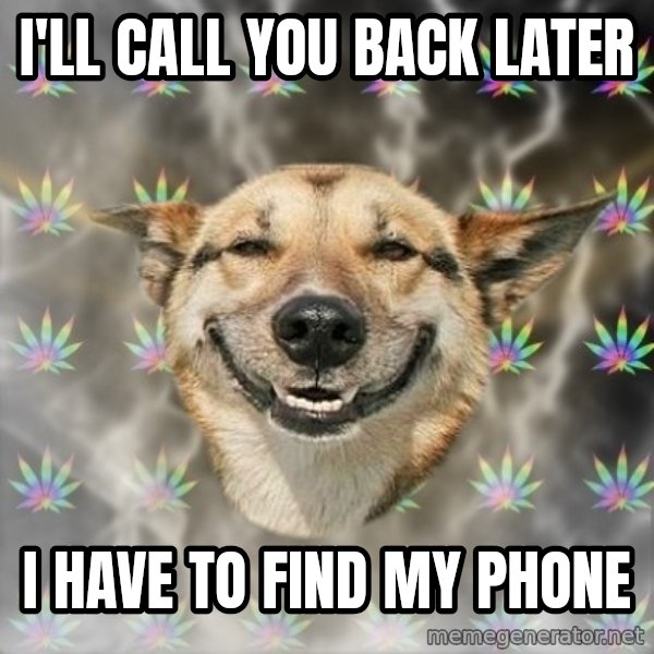 Stoner Dog meme: i'll call you back later / i have to find my phone