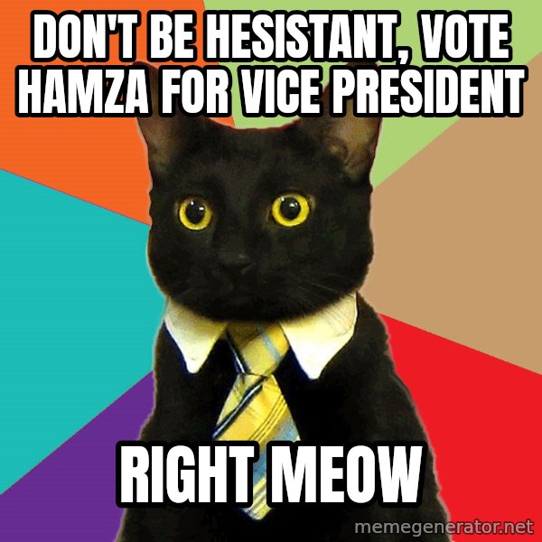 Business Cat meme: Don't be hesistant, Vote hamza for vice president / right meow