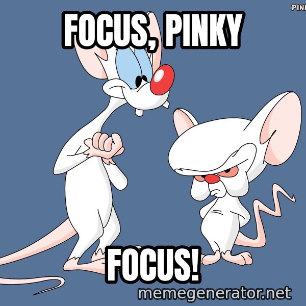 Pinky And The Brain meme: Focus, Pinky / FOCUS!
