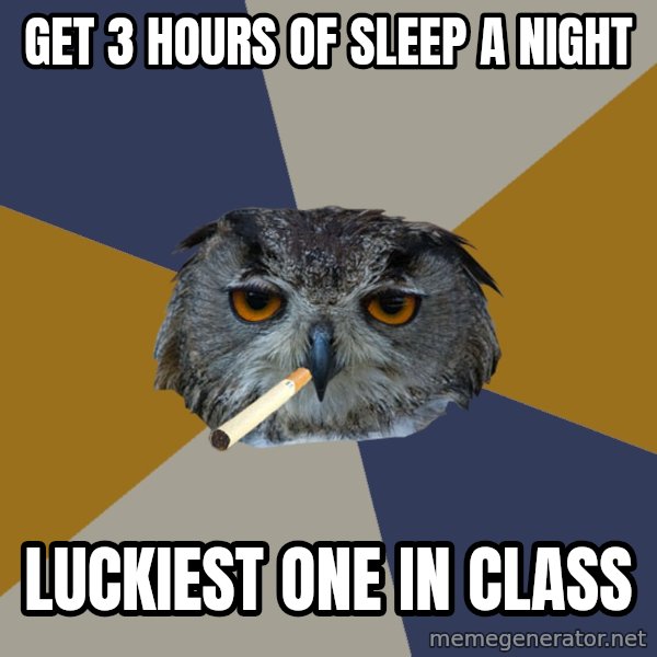 Art Student Owl meme: get 3 hours of sleep a night / luckiest one in class