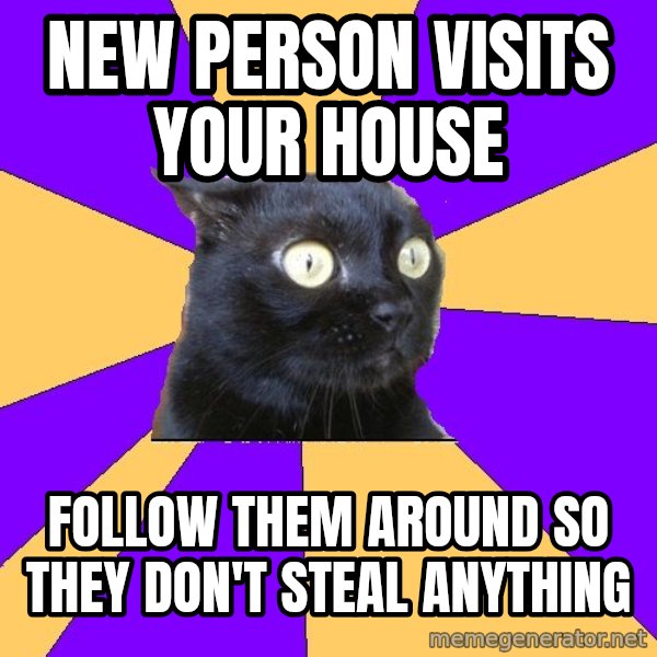 Anxiety Cat meme: New person visits your house / follow them around so they don't steal anything