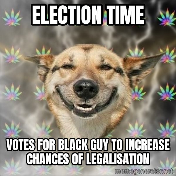 Stoner Dog meme: election time / votes for black guy to increase chances of legalisation