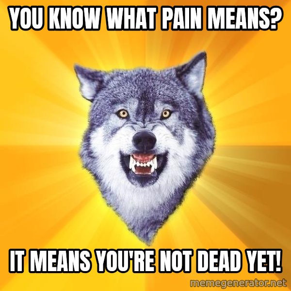 Courage Wolf meme: you know what pain means? / It means you're not dead yet!