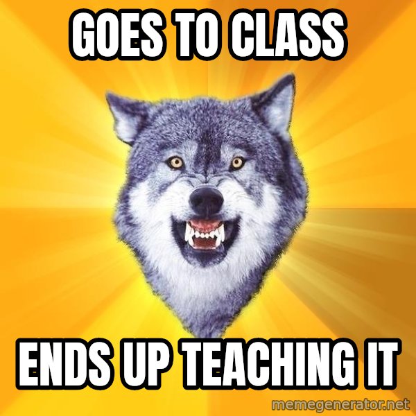 Courage Wolf meme: Goes to class / Ends up teaching it