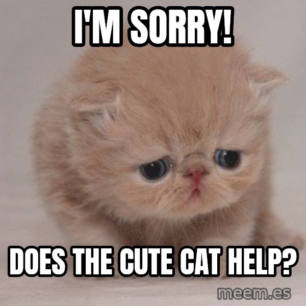 Super Sad Cat meme: I'M SORRY! / DOES THE CUTE CAT HELP?