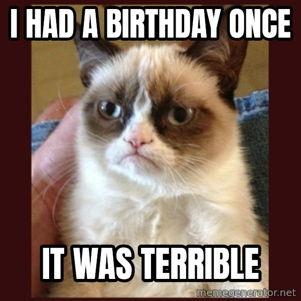 Grumpy Cat  meme: I had a birthday once / It was terrible