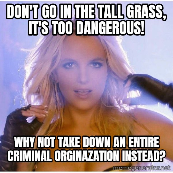 Professor Oak meme: don't go in the tall grass, it's too dangerous! / why not take down an entire criminal orginazation instead?