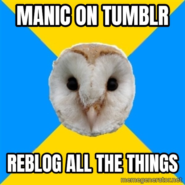 Bipolar Owl meme: MANIC on tumblr / reblog all the things