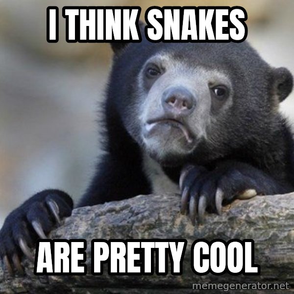 Confession Bear meme: I think snakes / are pretty cool