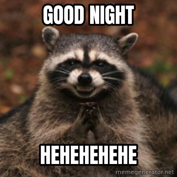 evil raccoon meme: GOOD NIGHT / HEHEHEHEHE