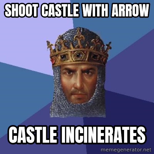 Age Of Empires meme: shoot castle with arrow / castle incinerates