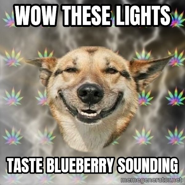 Stoner Dog meme: wow these lights / taste blueberry sounding