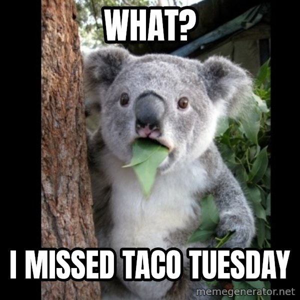 Koala can't believe it meme: WHAT? / I MISSED TACO TUESDAY