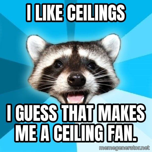 Lame Pun Coon meme: I like ceilings / I guess that makes me a ceiling fan.