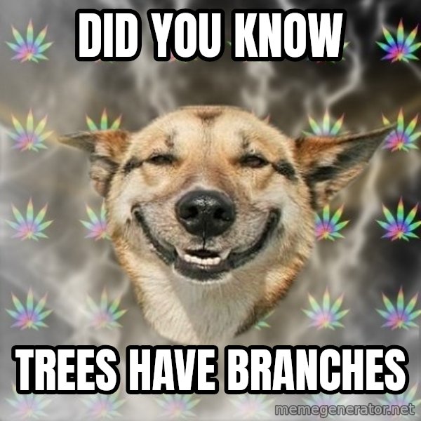 Stoner Dog meme: did you know / trees have branches