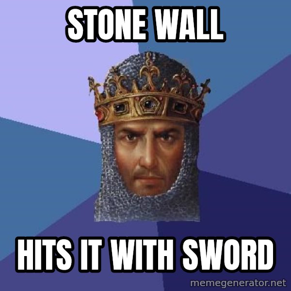 Age Of Empires meme: STONE WALL / HITS IT WITH SWORD