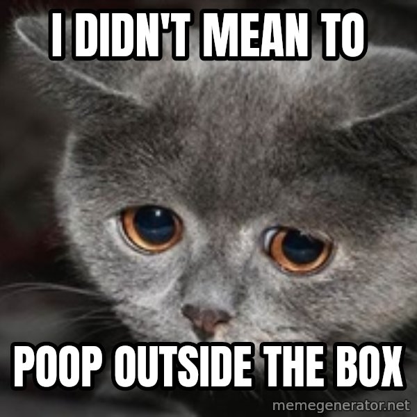 Sadcat meme: I didn't Mean to / Poop OUTSIDE THE BOX