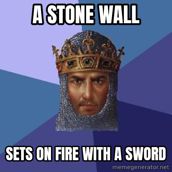 Age Of Empires meme: A STONE WALL / SETS ON FIRE WITH A SWORD