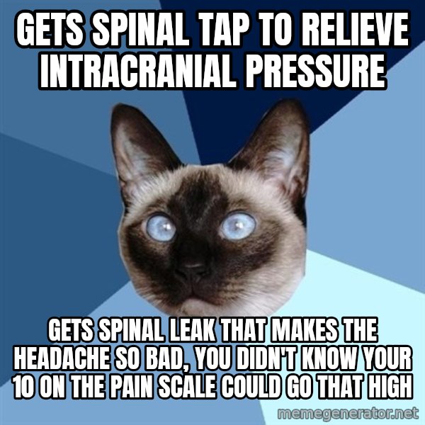 Chronic Illness Cat meme: gets spinal tap to relieve intracranial pressure / gets spinal leak that makes the headache so bad, you didn't know your 10 on the pain scale could go that high