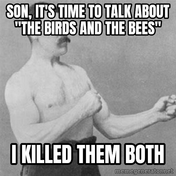 overly manlyman meme: Son, it's time to talk about "the birds and the bees" / I killed them both
