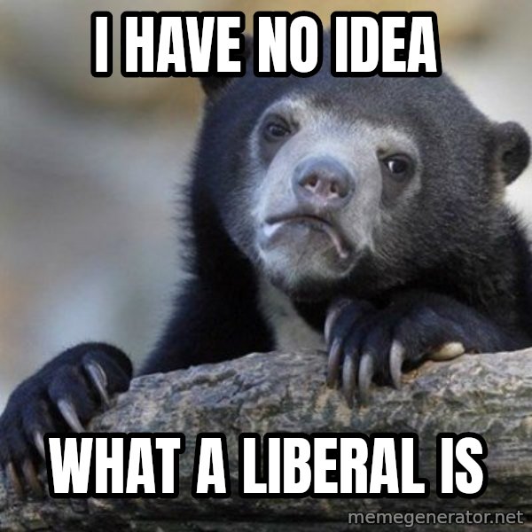 Confession Bear meme: I have no idea / what a liberal is