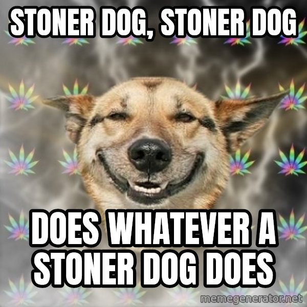 Stoner Dog meme: stoner dog, stoner dog / does whatever a stoner dog does