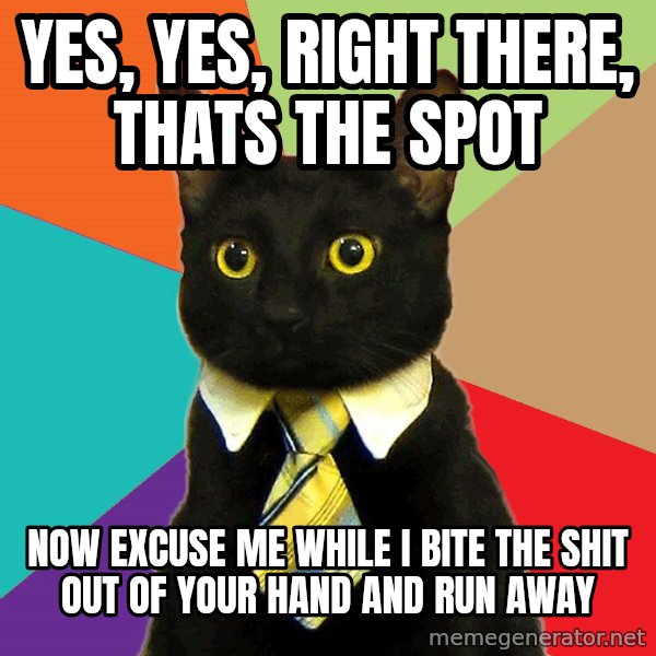 Business Cat meme: Yes, yes, right there, thats the spot / now excuse me while i bite the shit out of your hand and run away