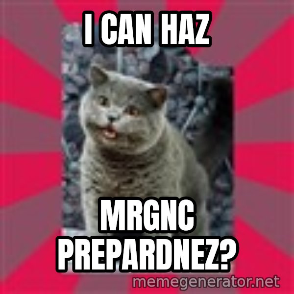 I can haz meme: i can haz / mrgnc prepardnez?