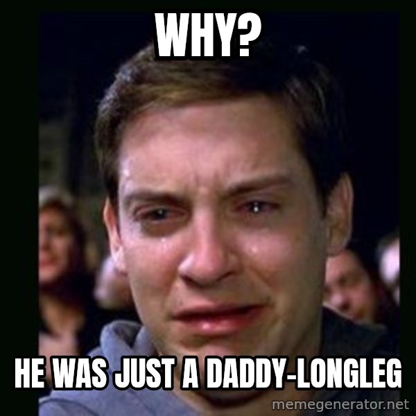 crying peter parker meme: WHY? / He was just a daddy-longleg