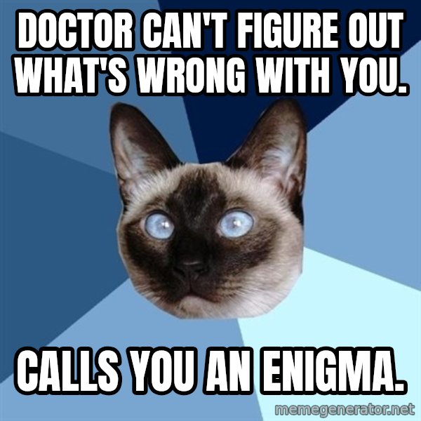 Chronic Illness Cat meme: Doctor can't figure out what's wrong with you. / Calls you an enigma.