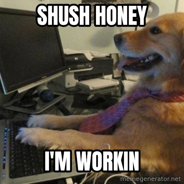 I have no idea what I'm doing - Dog with Tie meme: SHUSH HONEY / I'M WORKIN