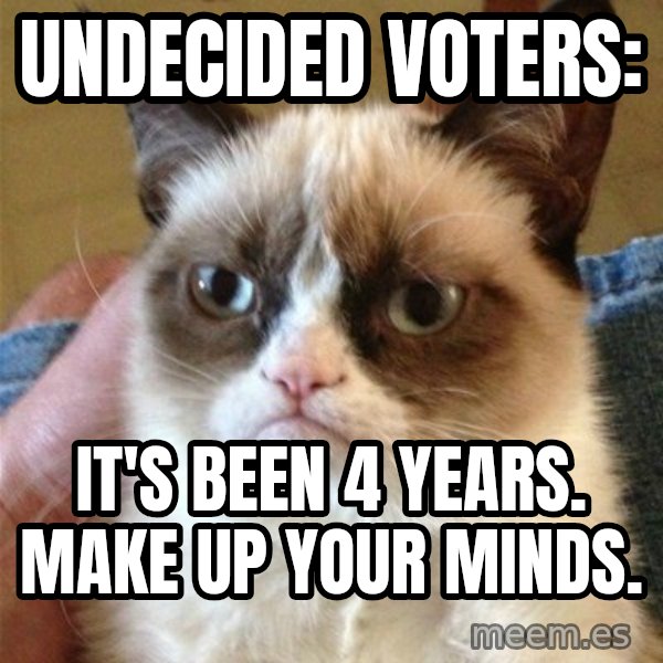 Grumpy Cat  meme: undecided voters: / it's been 4 years. make up your minds.