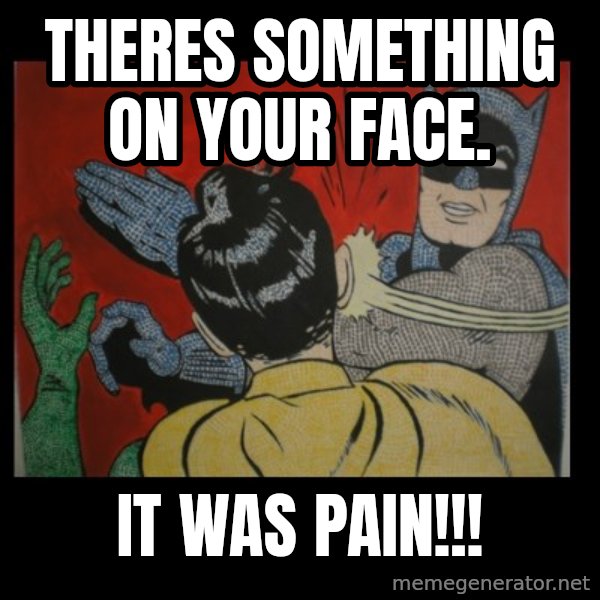 batman slap robin meme: Theres something on your face. / It WAS PAin!!!