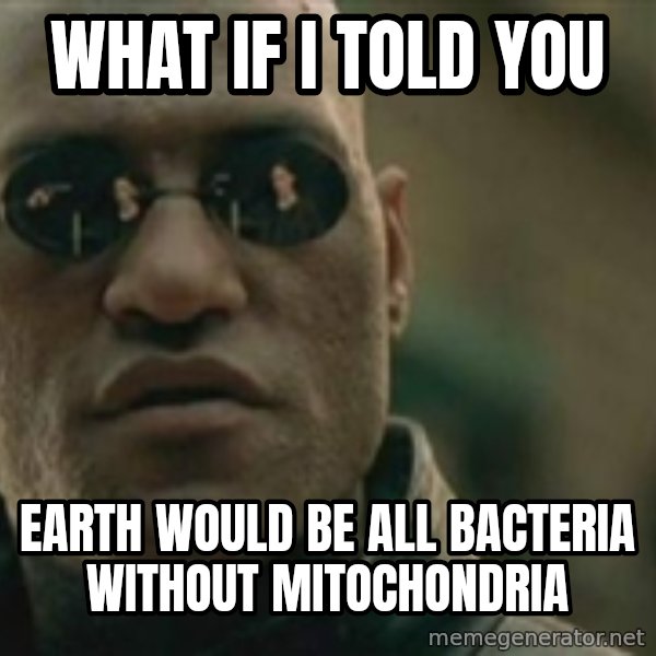 Scumbag Morpheus meme: what if i told you / earth would be all bacteria without mitochondria