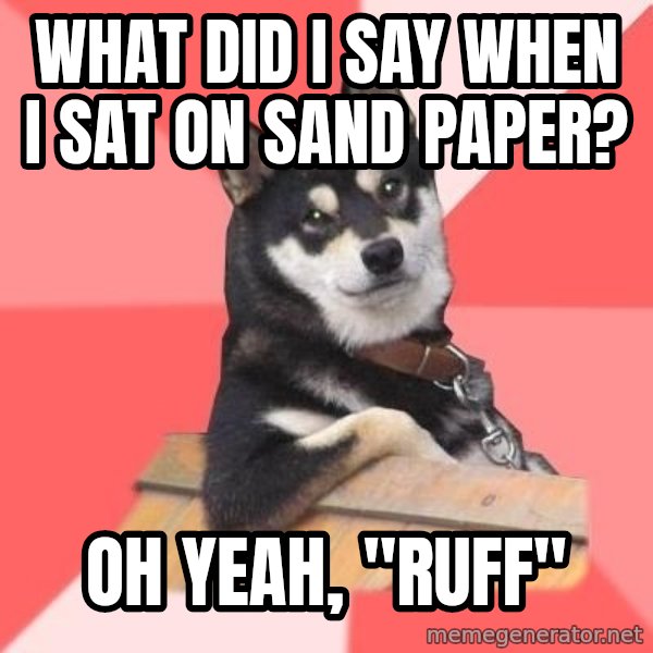 Cool Dog meme: what did i say when i sat on sand paper? / oh yeah, "ruff"