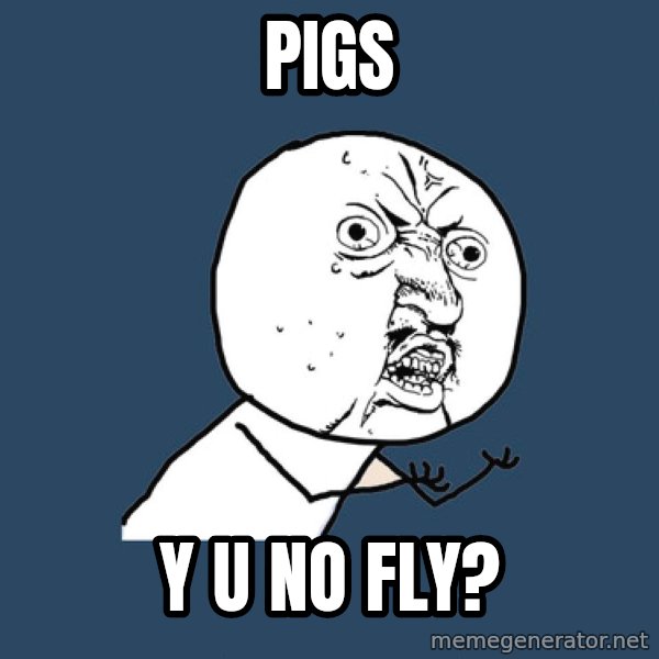 Y U No meme: pigs / y u no flY?