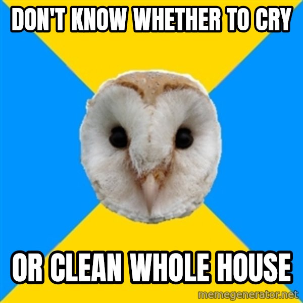 Bipolar Owl meme: Don't know whether to cry / or clean whole house