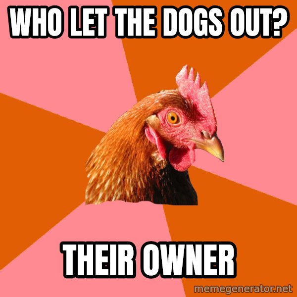 Anti Joke Chicken meme: Who Let the Dogs Out? / Their Owner