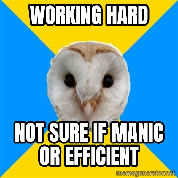 Bipolar Owl meme: working hard / not sure if manic or efficient