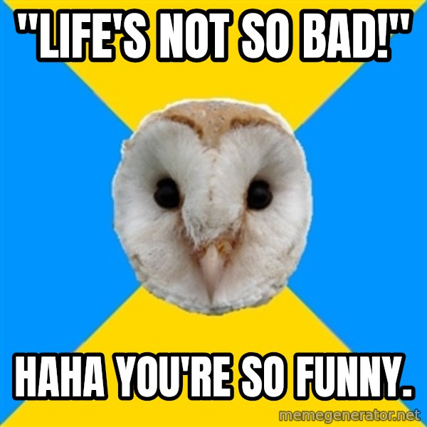 Bipolar Owl meme: "life's not so bad!" / haha you're so funny.