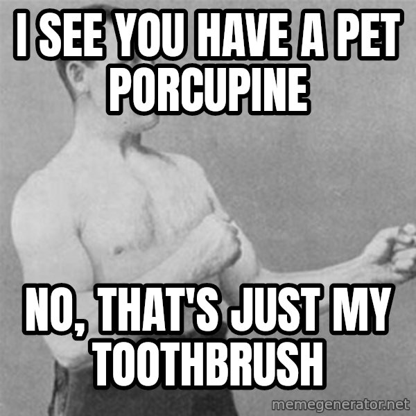 overly manlyman meme: I see you have a pet porcupine / no, that's just my toothbrush