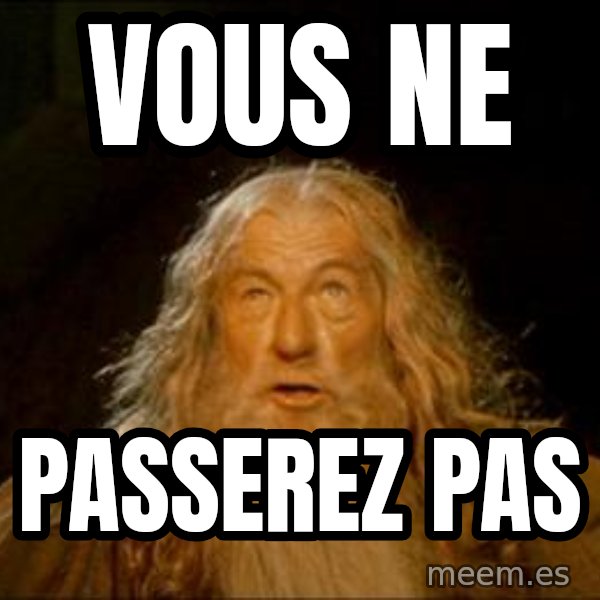 Gandalf meme: VOUS NE / PASSEREZ PAS