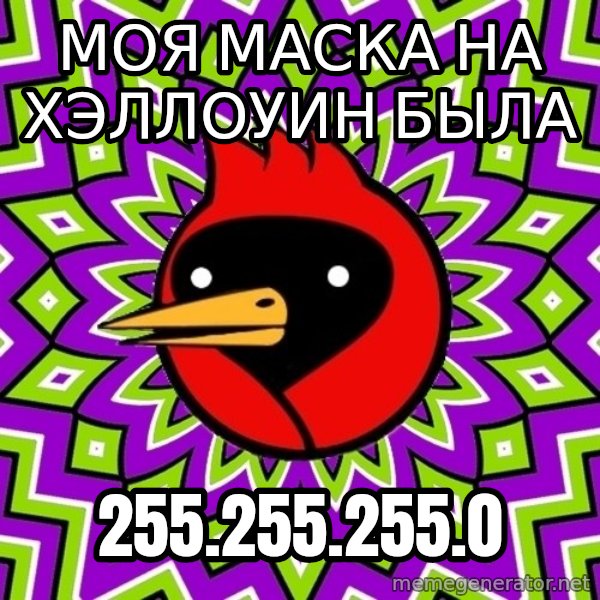 Omsk Crow meme: Моя маска на хэллоуин была / 255.255.255.0