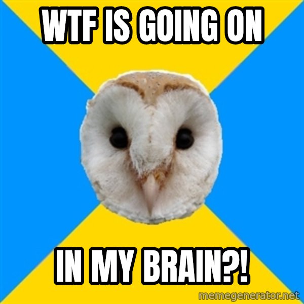 Bipolar Owl meme: WTF IS GOING ON / IN MY BRAIN?!