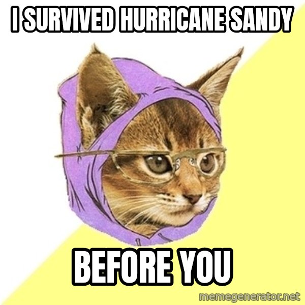 Hipster Kitty meme: I survived hurricane sandy / before you