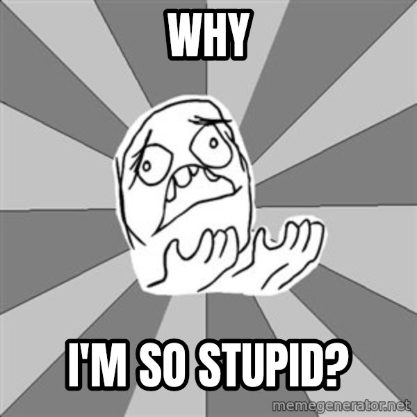Whyyy??? meme: why / I'm so stupid?