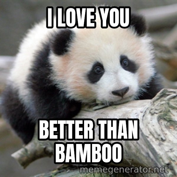 sad panda meme: I love you / better than bamboo