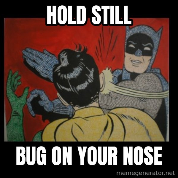 Batman Slappp meme: hold still / bug on your nose