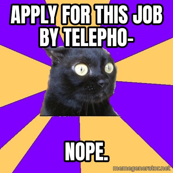 Anxiety Cat meme: apply for this job by telepho- / nope.
