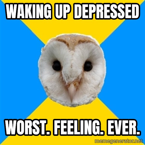Bipolar Owl meme: waking up depressed / worst. feeling. ever.